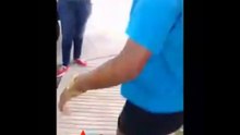 Sharkeisha Fight Video