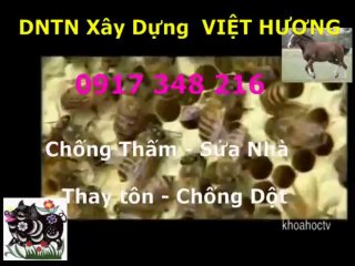 Tho chong tham nha ve sinh quan 10 -kova /// 0917 348216