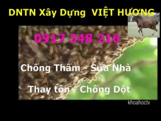 Tho chong tham nha ve sinh quan go vap -kova / 0917 348216