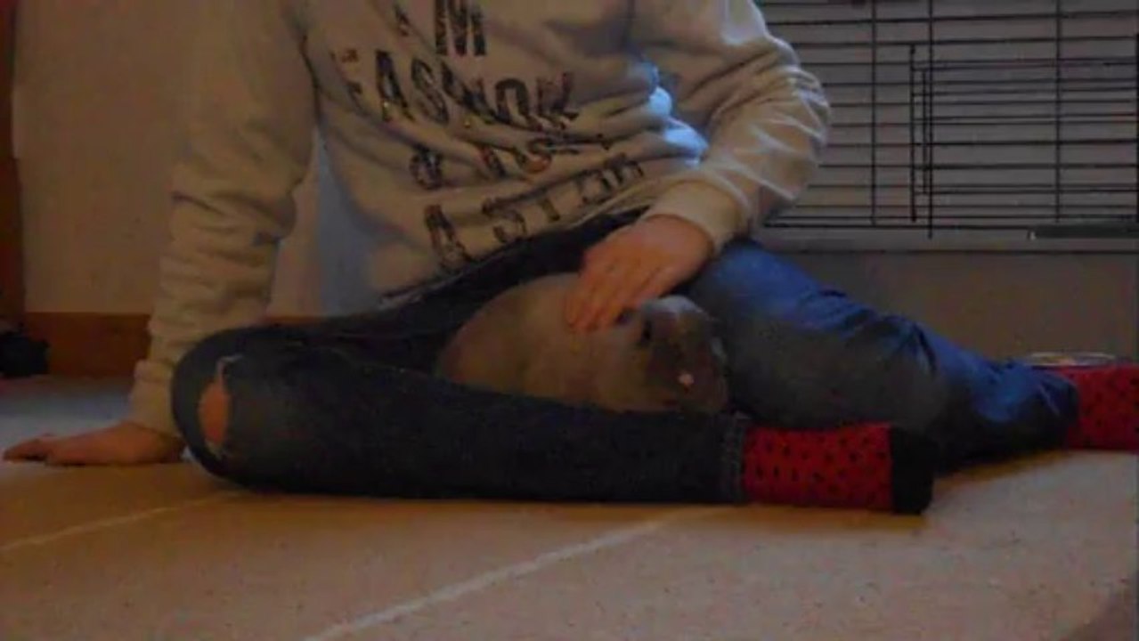 Bella et Moi