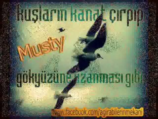 Selahattin Özdemir - Allahım