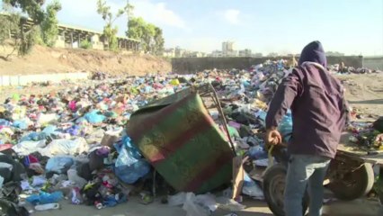 ازمة الوقود تدفع غزة للاعتماد على عربات الحمير لجمع القمامة