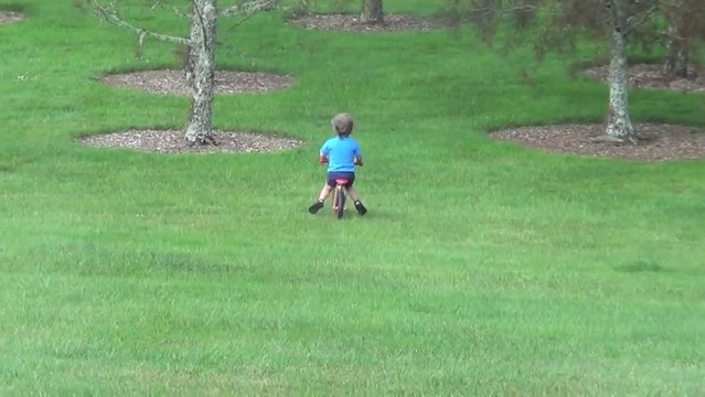 Le père de l'année filme son fils en vélo foncer droit dans un arbre