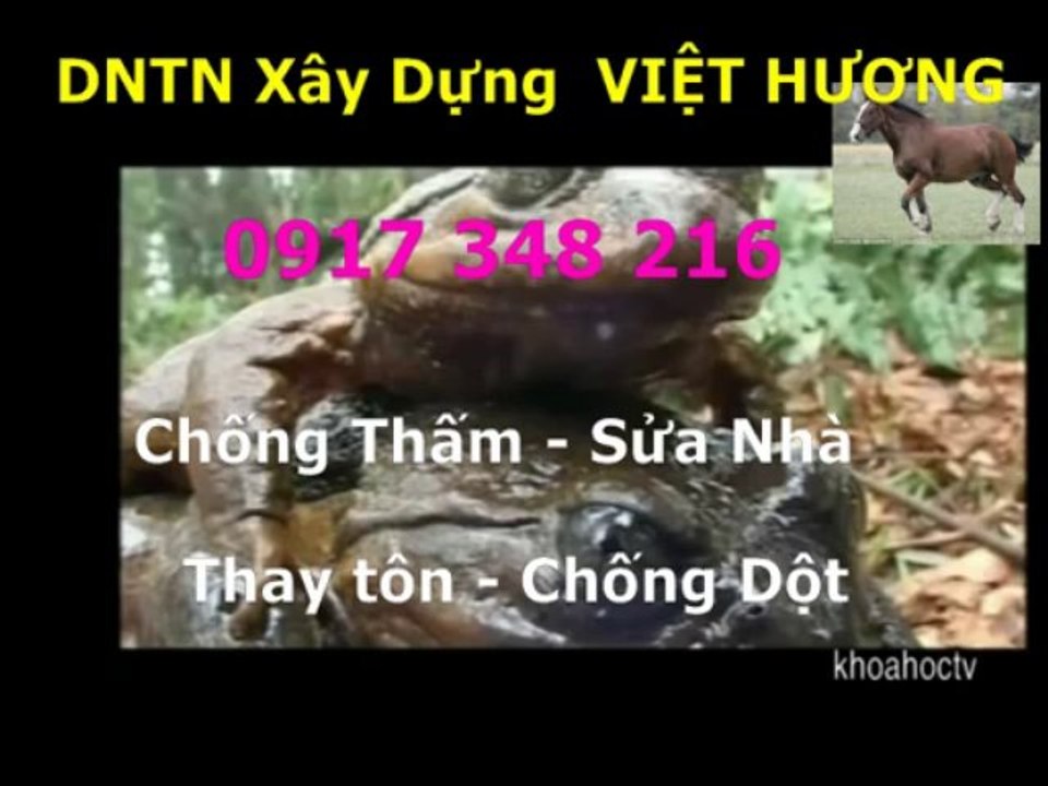Tho chong tham nha ve sinh quan go vap -kova //// 0917 348216
