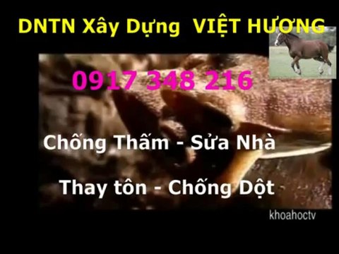 chong tham nha ve sinh quan binh thanh -kova //// 0917 348216