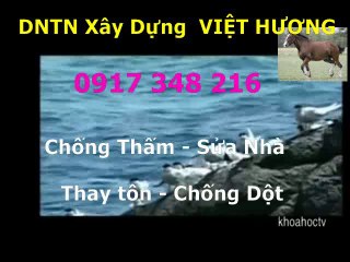 chong tham nha ve sinh quan binh thanh -kova / 0917 348216