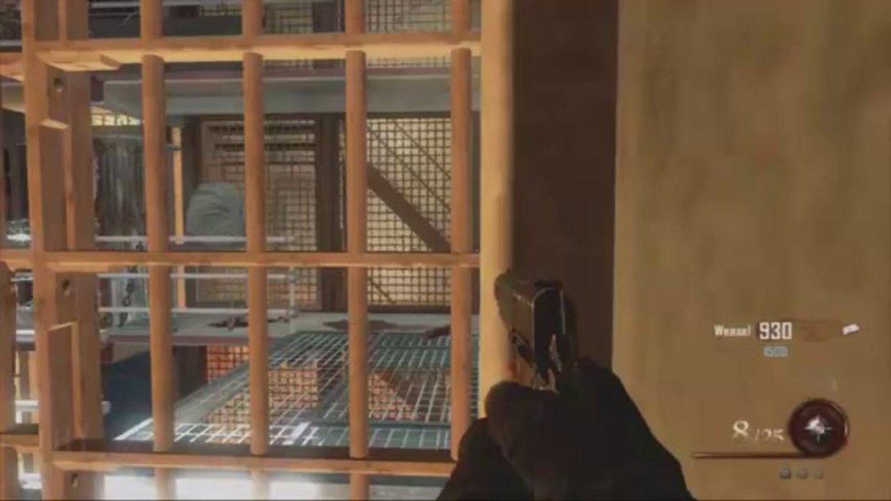 Zombie Call of Duty Black Ops 2 Hack for XBOX, PS3, WII, PC