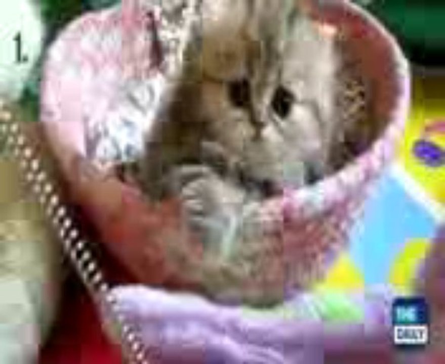 LOve problem solution vashikaran specialist babaji +91-9928860580