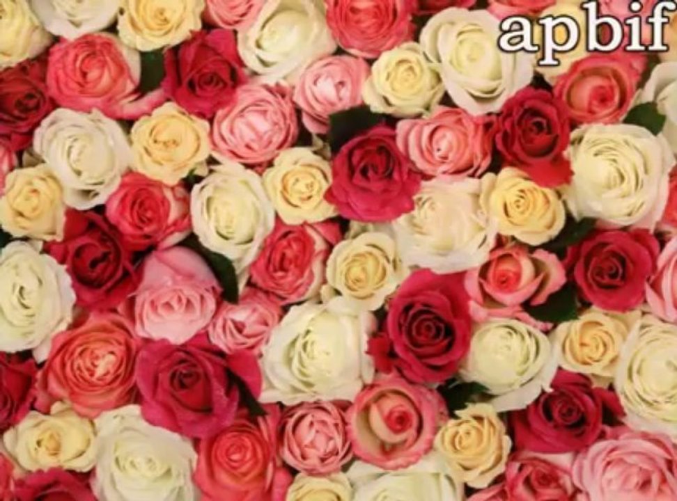 2-2 +50 conseils pour les femmes pour bien vivre avec son mari