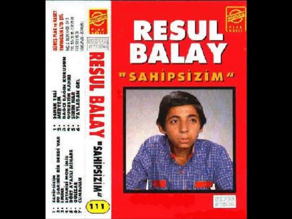 Resul Balay-Sahipsizim