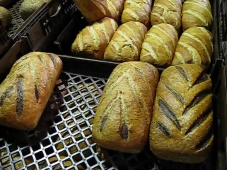 Express Series Bread & Roll Moulders