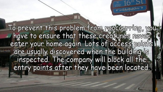 Ways To Protect Your Home From Rodents With The Help Of A New Jersey Pest Control Company