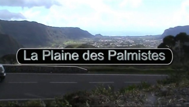 La plaine des Palmistes
