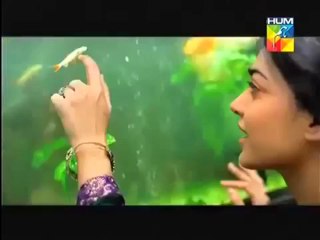 Mohabbat Subh Ka Sitara Hai new drama promo