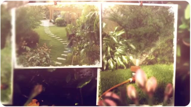 The Whole 9 Yards Professional Lawn Service - (601) 622-8210