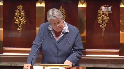 intervention Sylvie Pichot Loi de programmation militaire