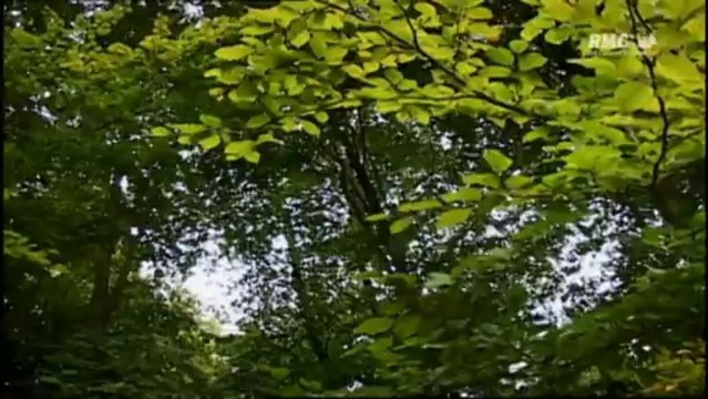 Guerre 1914-1918 - L'horreur des tranchées