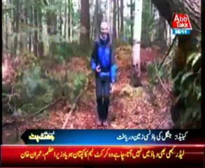 Bouncy forest floor is discovered in Canada