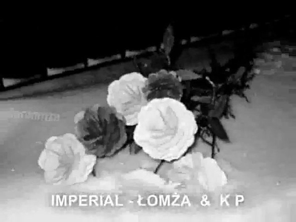 IMPERIAL-Biała róża