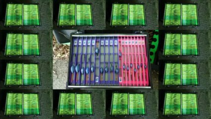 partie de peche avec le championt de france   n°1