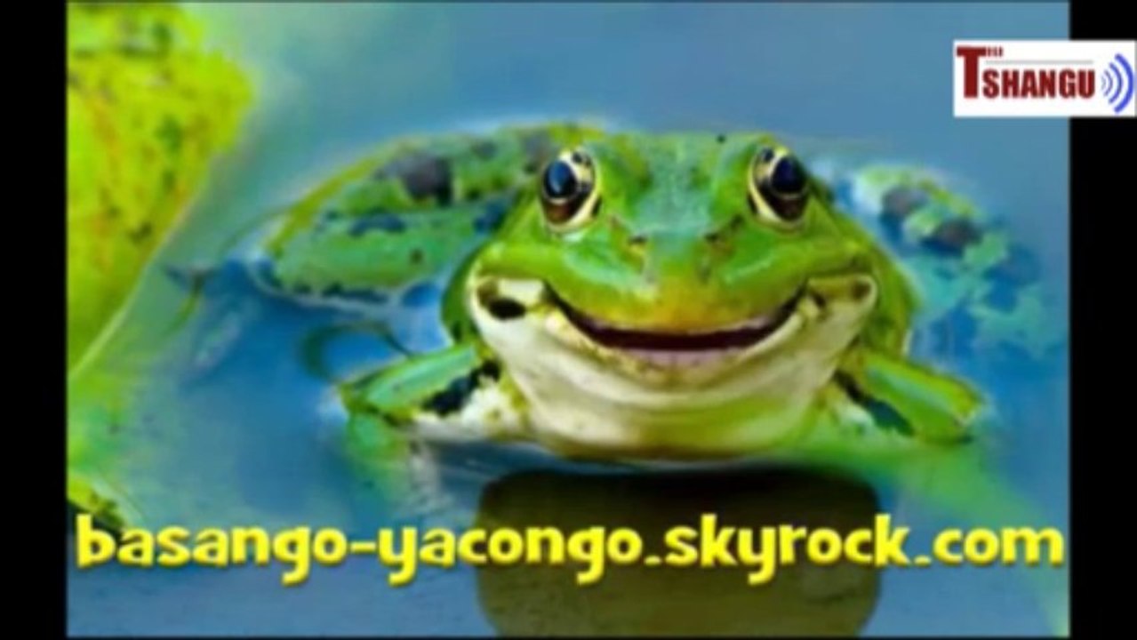 Concert de JB Mpiana : Son ligorodo s'en mêle