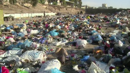 Donkeys used to clean up streets of Gaza