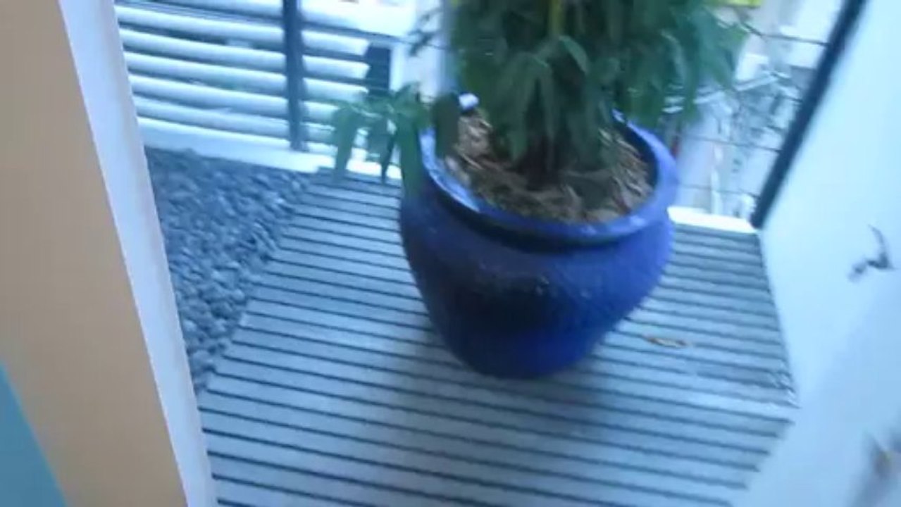 can ho dich vu cao cap quan 2