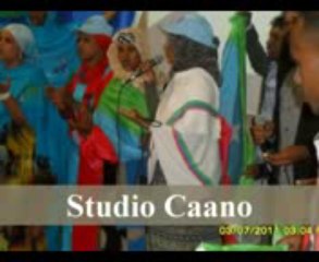 Ogaden - Abwaan Singub, Nimco Jibaax and Jaango New Song 2012 'Haywalaacin'