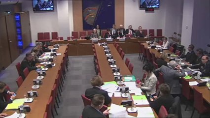 Mme Pervenche Bérès, Pdte de la Commission de l'emploi et des affaires sociales du Parlement européen - Mercredi 27 Novembre 2013