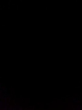 Exclusif! les Touaregs déposent les armes !