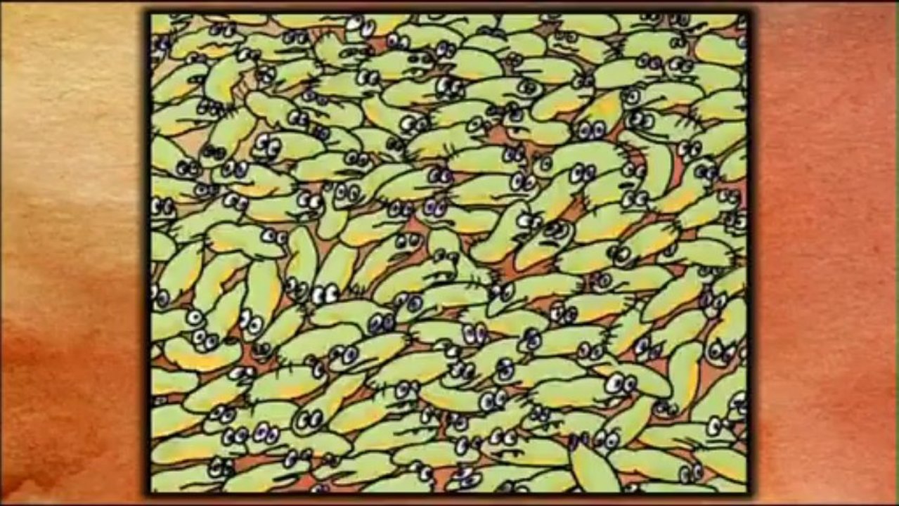 Viande, alerte aux antibios