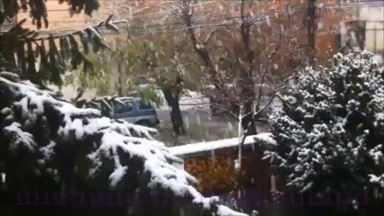 Първи сняг   2013