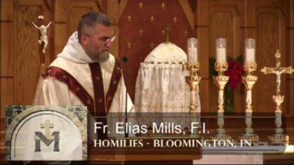 Nov 29 - Homily: All Seraphic Saints