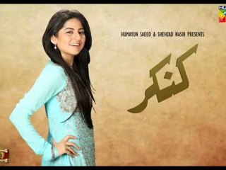 Kankar By HUM TV  - Episode 24 Full - 29 November 2013