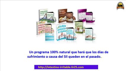 Causas del Intestino Irritable