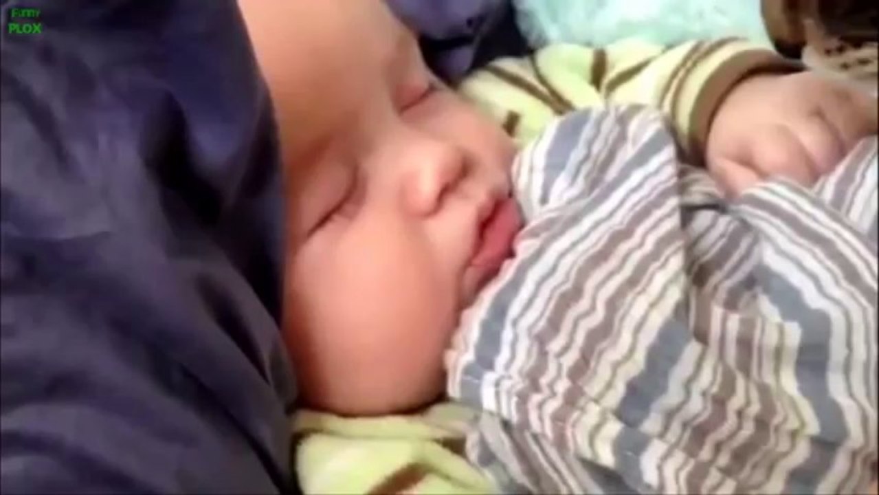 Animali che si prendono cura di bambini Best Babies and Animals Compilation 2013 [HD]