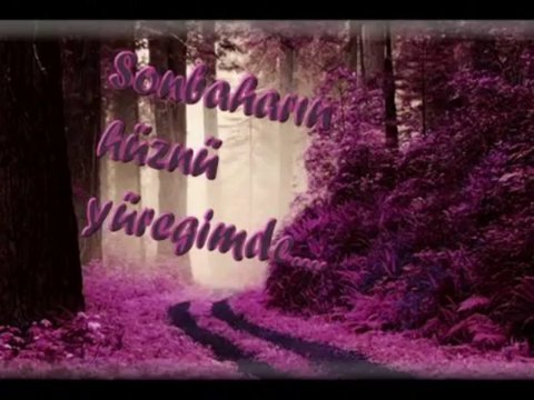 UFUK GÜNEŞ SEVMEYECEĞİM