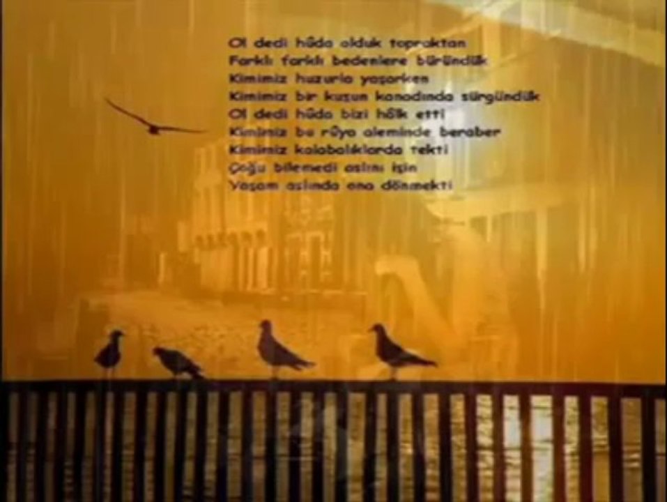 Zeynel Aba - Düşmüş Gurbet Ele Sevdalı Gönül