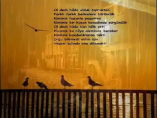 Zeynel Aba - Düşmüş Gurbet Ele Sevdalı Gönül