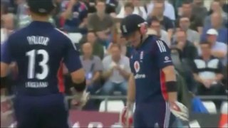 10 Greatest catches in Cricket History!!! (READ DESCRIPTION)