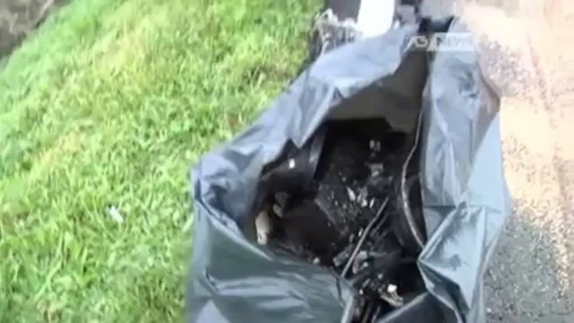 FRONTALE SULLA TRIESTINA, UN MORTO