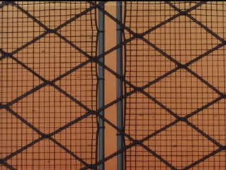 Prendi il mondo e vai - 028 - Tom ha della stoffa