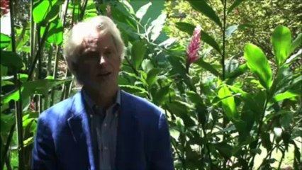 Costa Rica, Pain Management in Paradise