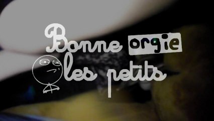 BONNE ORGIE LES PETITS by MISTER JEY @ WHY NOT BAR #2