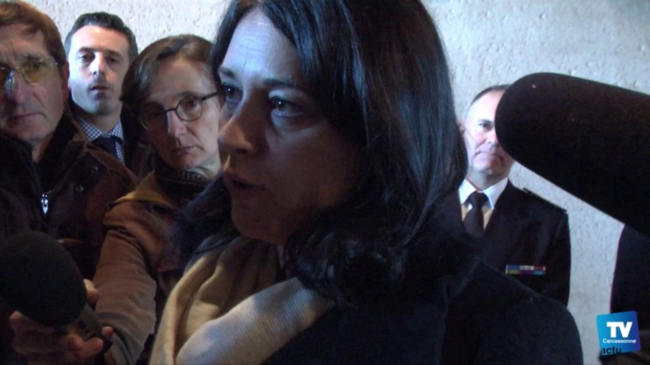 Sylvia Pinel, Ministre de l'Artisanat, du commerce et du Tourisme était en déplacement ce vendredi 29 novembre 2013 à Carcassonne :