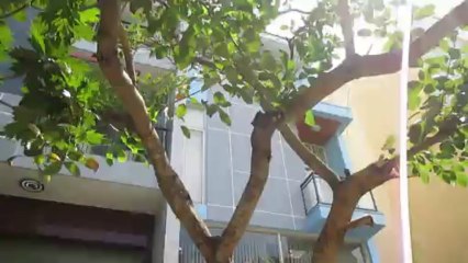 Bán nhà trung sơn call 0977771919