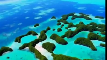 Doğadan Gelen Huzur | Doğanın Ruhu