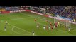 Manchester United 2 - 2 Cardiff City 24/11/2013 HIGHLIGHTS