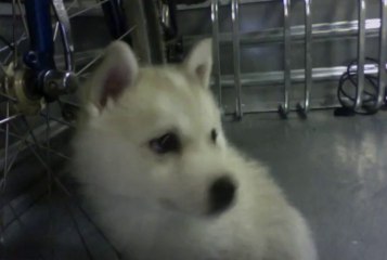 Clara con mes y dos semanas