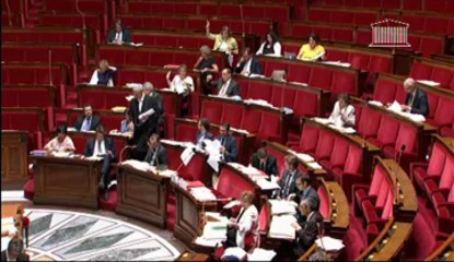 MODERNISATION DE L’ACTION PUBLIQUE TERRITORIALE ET AFFIRMATION DES MÉTROPOLES (suite) - Vendredi 19 Juillet 2013